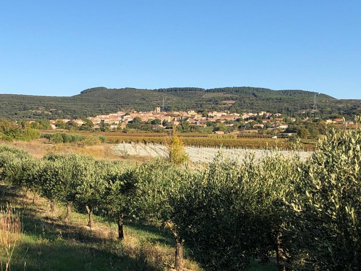Val Des Bruyeres - Gite 15Mn Pezenas Avec Terrasse Et Cour Close - Parking Privatif Securise - Wifi Ftth Gratuit Neffies Exteriér fotografie